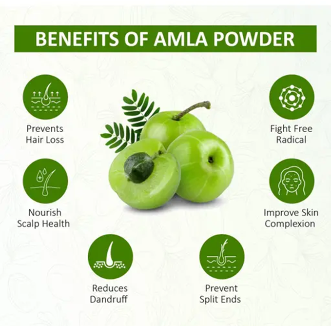 Pure Amla Powder ( Indian gooseberries)