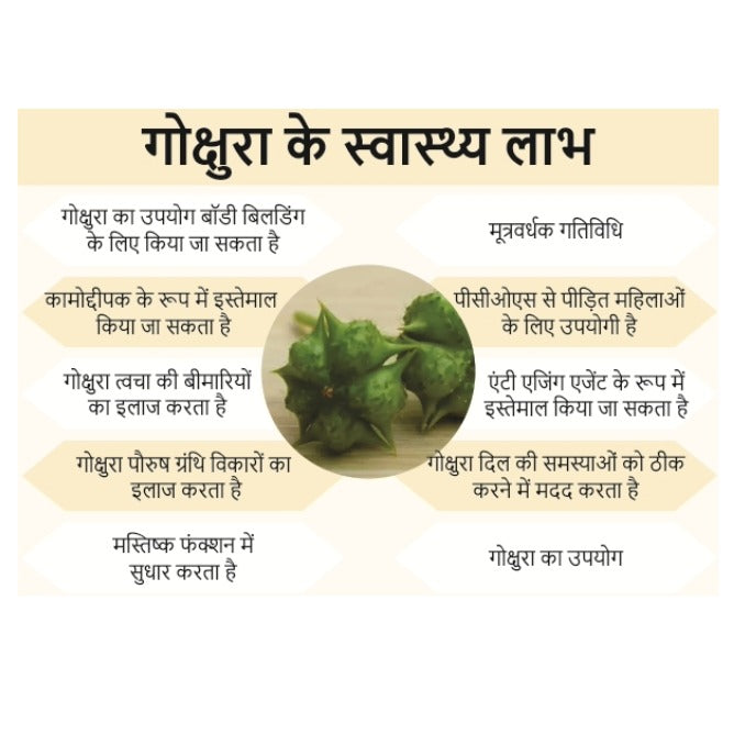 Pure Gokshura Powder (Tribulus Terrestris)