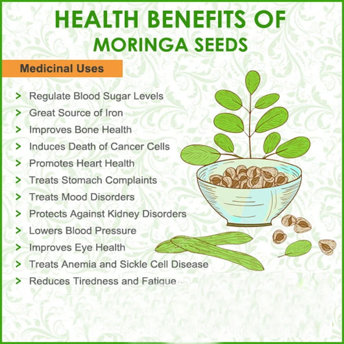 Pure Moringa Powder (Drumstick Tree or Sahjan)