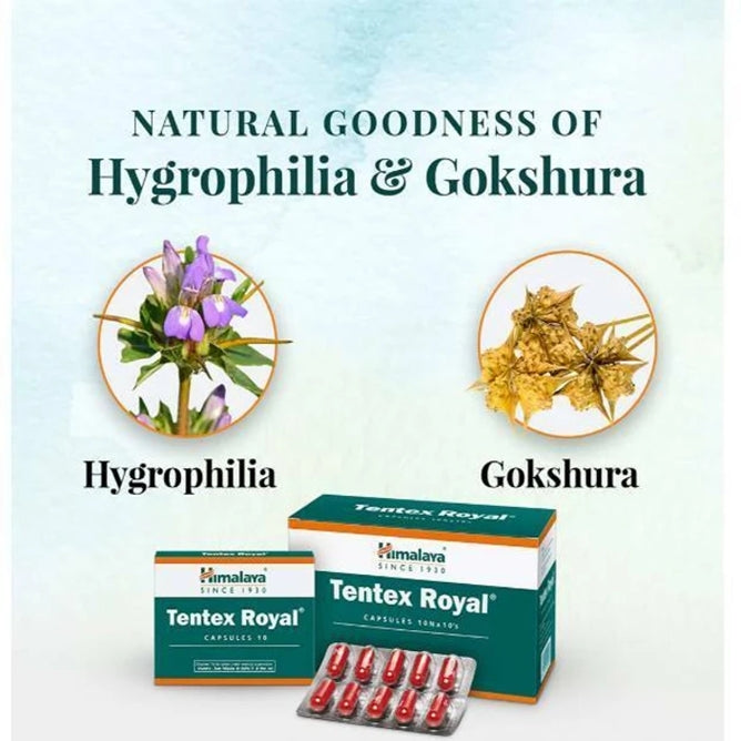 Tentex Royal Capsule