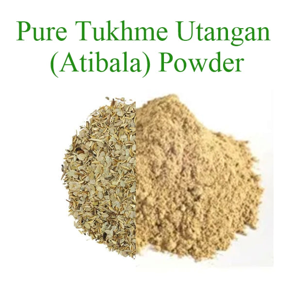 Pure Tukhme utangan (Nlepharis Eulis) Powder